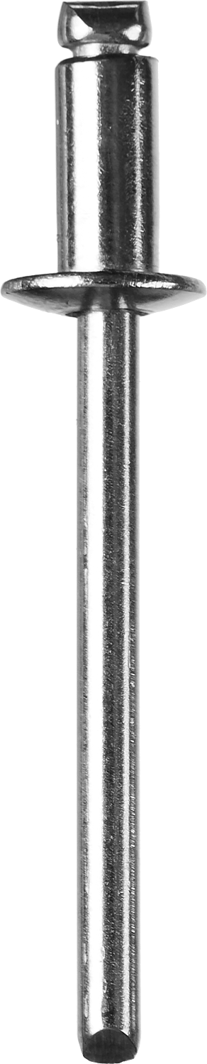 Заклепки из нержавеющей стали, 3,2x8 мм, 1000 шт, ЗУБР Профессионал &mdash; Официальный партнер ЗУБР в России