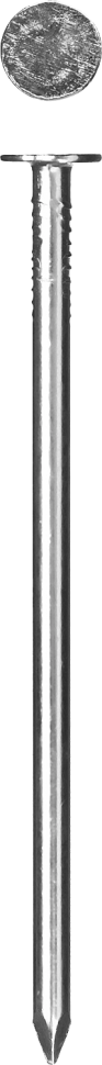 Гвозди с большой потайной головкой, оцинкованные, 50 х 3.0 мм, 5 кг, ЗУБР фото 1 — Официальный партнер ЗУБР в России