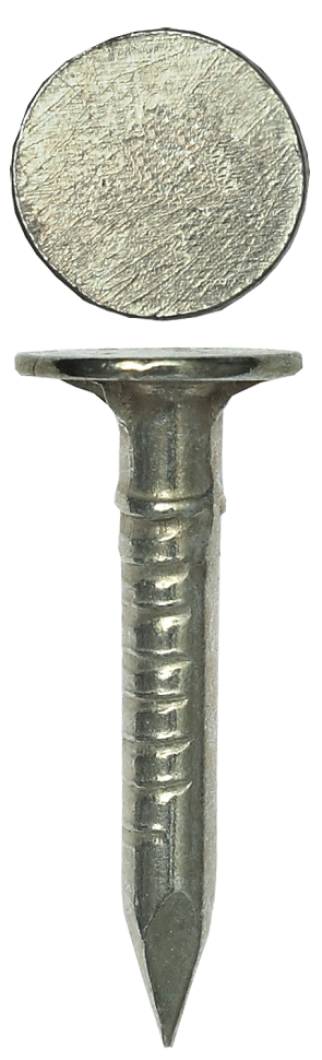 Гвозди с большой потайной головкой, оцинкованные, 120 х 4.0 мм, 6 шт, ЗУБР фото 1 &mdash; Официальный партнер ЗУБР в России