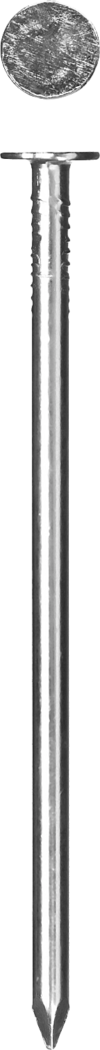 Гвозди с большой потайной головкой, оцинкованные, 25 х 3.0 мм, 5 кг, ЗУБР — Официальный партнер ЗУБР в России