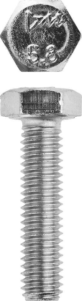 Болт ГОСТ 7798-70, M10 x 45 мм, 5 кг, кл. пр. 5.8, оцинкованный, ЗУБР фото 1 — Официальный партнер ЗУБР в России