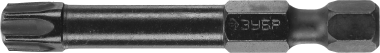 Биты ЗУБР &quot;ПРОФИ&quot; TORX, тип хвостовика E 1/4&quot;, T40, 50мм, 2шт, на карточке — Официальный партнер ЗУБР в России