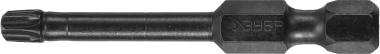 Биты ЗУБР &quot;ПРОФИ&quot; TORX, тип хвостовика E 1/4&quot;, T25, 50мм, 2шт, на карточке — Официальный партнер ЗУБР в России