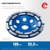 ЗУБР d 125 мм, двухрядная алмазная шлифовальная чашка, Профессионал (33372-125_z01) фото 3 &mdash; Официальный партнер ЗУБР в России