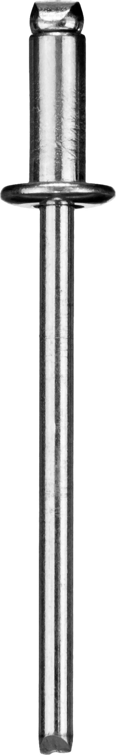 Заклепки стальные, 4,8x10 мм, 50 шт, ЗУБР Профессионал — Официальный партнер ЗУБР в России